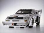Audi Sport Quattro S1 Pikes Peak 1986 года